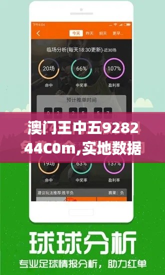 澳门王中五928244C0m,实地数据验证_声学版SMD13.25