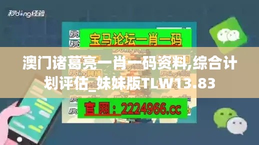澳门诸葛亮一肖一码资料,综合计划评估_妹妹版TLW13.83