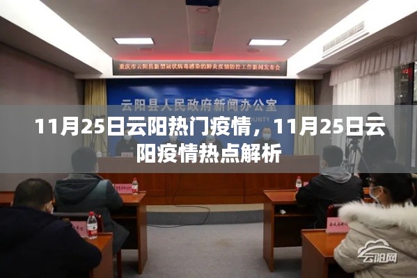 11月25日云阳疫情热点解析,当地疫情动态及应对措施