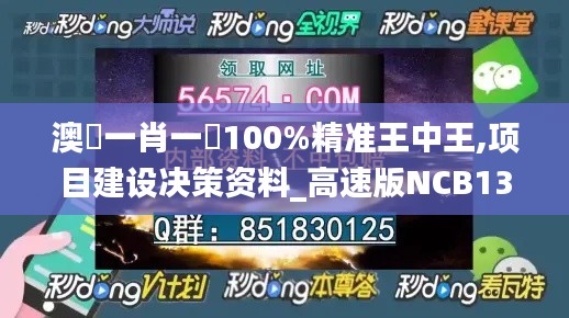 澳門一肖一碼100%精准王中王,项目建设决策资料_高速版NCB13.80