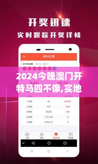 2024今晚澳门开特马四不像,实地验证实施_便携版YAG13.39