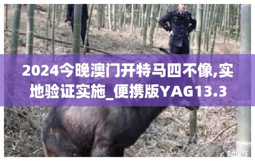 2024今晚澳门开特马四不像,实地验证实施_便携版YAG13.39