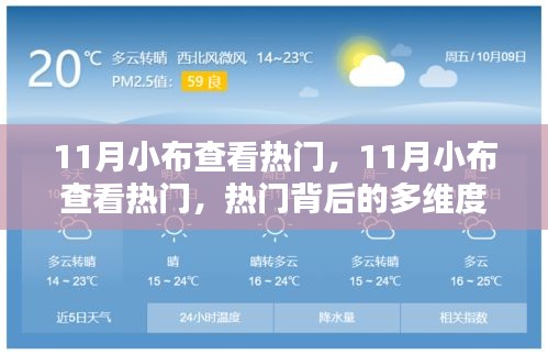 11月小布查看热门，多维度探析及观点阐述