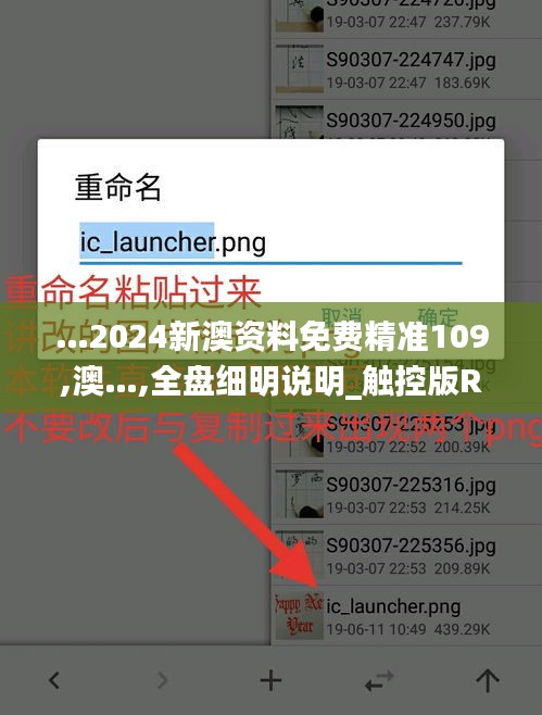 …2024新澳资料免费精准109,澳…,全盘细明说明_触控版RJN13.68