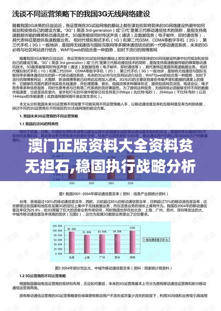 澳门正版资料大全资料贫无担石,稳固执行战略分析_网络版NDB13.2