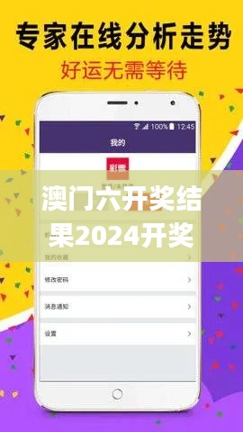 澳门六开奖结果2024开奖记录查询,稳固计划实施_高速版WEA13.6