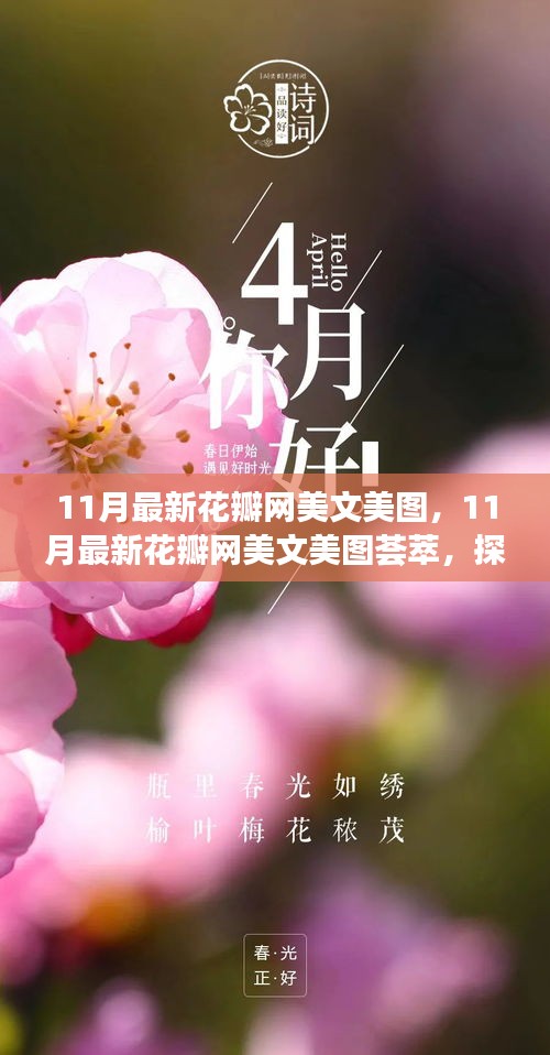 探索美文三大要点，最新花瓣网美文美图荟萃