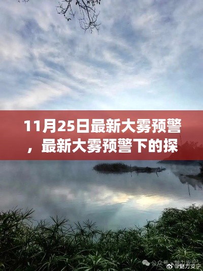 11月25日大雾预警下的浪漫探索之旅，与自然美景的邂逅