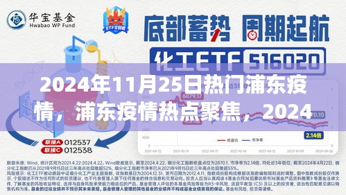 浦东疫情热点聚焦，2024年11月25日的观察与思考