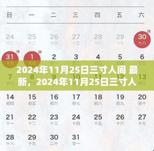 三寸人间最新内容获取与阅读步骤指南（2024年11月25日版）