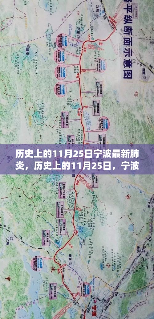 历史上的11月25日宁波最新肺炎，历史上的11月25日，宁波之旅，探寻自然美景，寻找内心平静的艺术