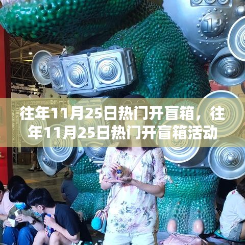 往年11月25日热门开盲箱活动解析与深度探讨