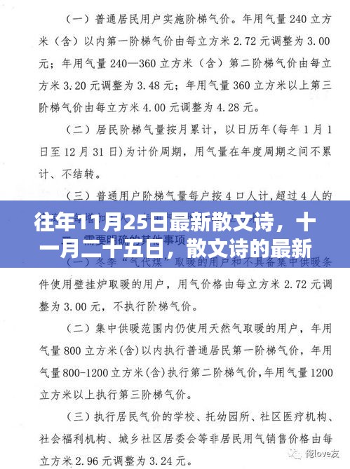 十一月二十五日散文诗的新绽放
