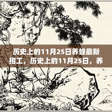 历史上的11月25日养蜂招工盛事与深远影响揭秘