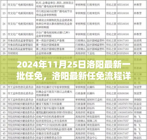 2024年洛阳最新一批任免详解，高效完成申请与任职手续（适用于初学者与进阶用户）