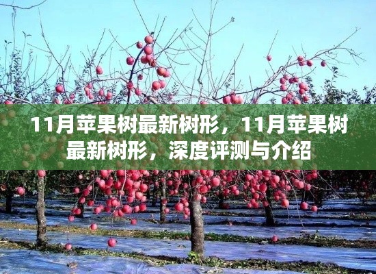 11月苹果树最新树形,11月苹果树最新树形,深度评测与介绍