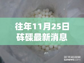 往年11月25日砗磲最新消息，砗磲风华录，十一月二十五日最新讯息与深远影响回顾