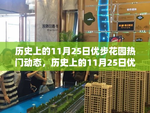 透视优步花园,历史上的11月25日深度文化与社交影响解析