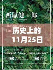 历史上的11月25日黄陂华夏幸福瞬间,辉煌回顾与热门动态揭秘