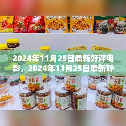 最新好评电影全解析，2024年11月25日观影指南