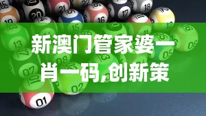 新澳门管家婆一肖一码,创新策略设计_可穿戴设备版WJM7.62