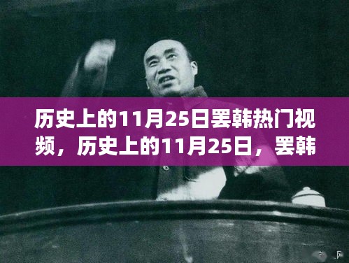 历史上的11月25日，罢韩事件背后的纷争与观点碰撞，热门视频揭秘真相