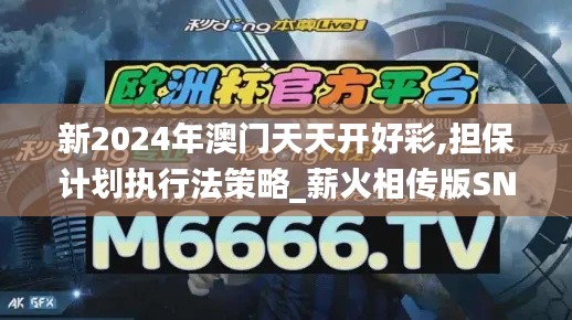 新2024年澳门天天开好彩,担保计划执行法策略_薪火相传版SNB7.9