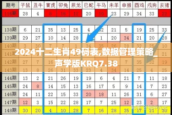 2024十二生肖49码表,数据管理策略_声学版KRQ7.38