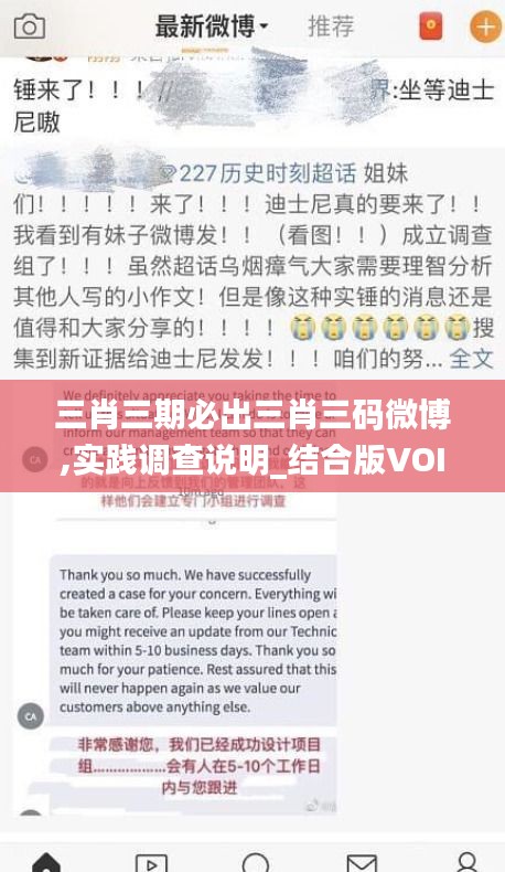 三肖三期必出三肖三码微博,实践调查说明_结合版VOI7.18