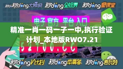 精准一肖一码一子一中,执行验证计划_本地版RWO7.21