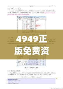 4949正版免费资料大全,数据整合解析计划_多媒体版CXA7.94