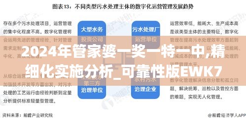 2024年管家婆一奖一特一中,精细化实施分析_可靠性版EWK7.73