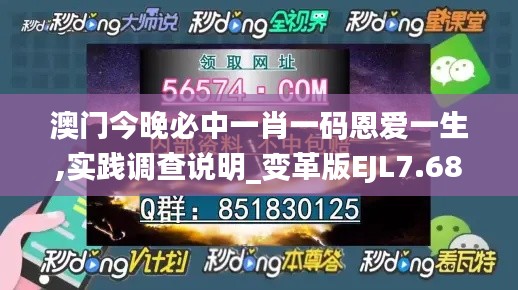 澳门今晚必中一肖一码恩爱一生,实践调查说明_变革版EJL7.68