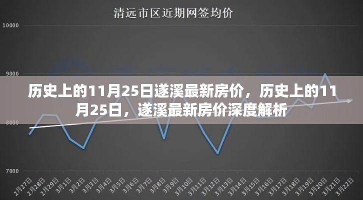 历史上的11月25日遂溪房价深度解析及最新房价报告