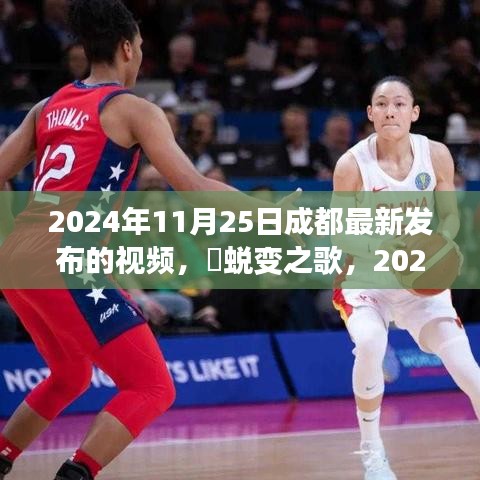 寥若晨星 第3页