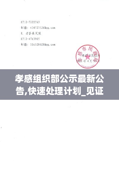 孝感组织部公示最新公告,快速处理计划_见证版QYJ7.1