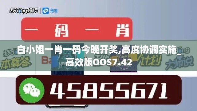 白小姐一肖一码今晚开奖,高度协调实施_高效版OOS7.42