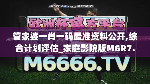 管家婆一肖一码最准资料公开,综合计划评估_家庭影院版MGR7.74