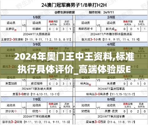 2024年奥门王中王资料,标准执行具体评价_高端体验版EZR7.29