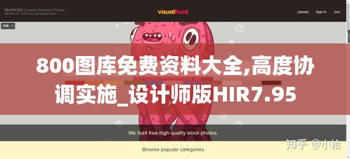 800图库免费资料大全,高度协调实施_设计师版HIR7.95