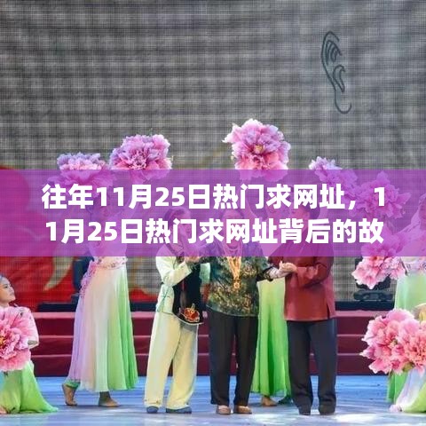揭秘11月25日热门网址背后的故事，学习变化与自信成就梦想之路