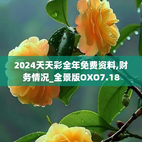 2024天天彩全年免费资料,财务情况_全景版OXO7.18