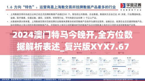 2024澳门特马今晚开,全方位数据解析表述_复兴版XYX7.67