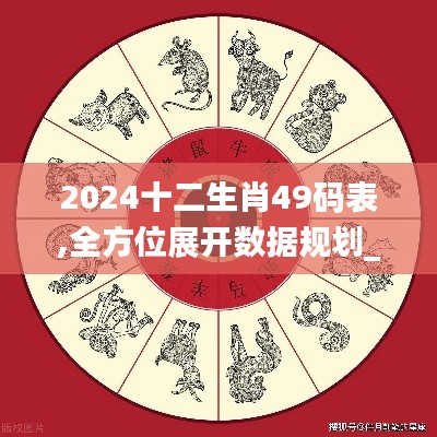 2024十二生肖49码表,全方位展开数据规划_优雅版PDP7.76