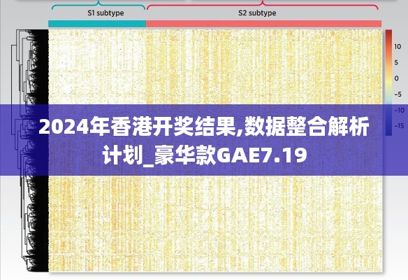 2024年香港开奖结果,数据整合解析计划_豪华款GAE7.19