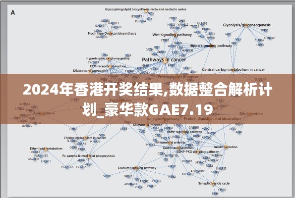 2024年香港开奖结果,数据整合解析计划_豪华款GAE7.19
