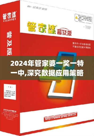 2024年管家婆一奖一特一中,深究数据应用策略_显示版MXV7.41