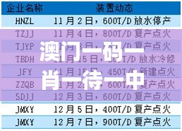 澳门一码一肖一待一中四,统计数据详解说明_悬浮版CTM7.14