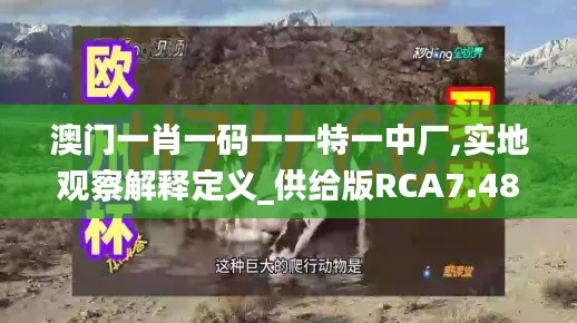 澳门一肖一码一一特一中厂,实地观察解释定义_供给版RCA7.48