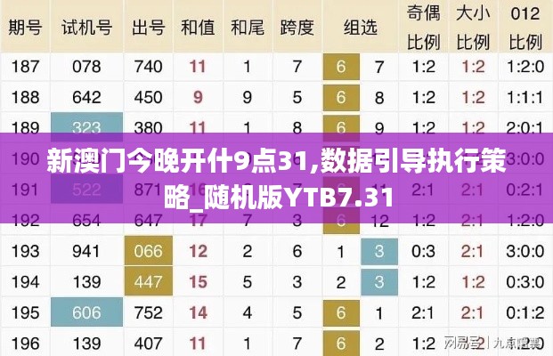 新澳门今晚开什9点31,数据引导执行策略_随机版YTB7.31